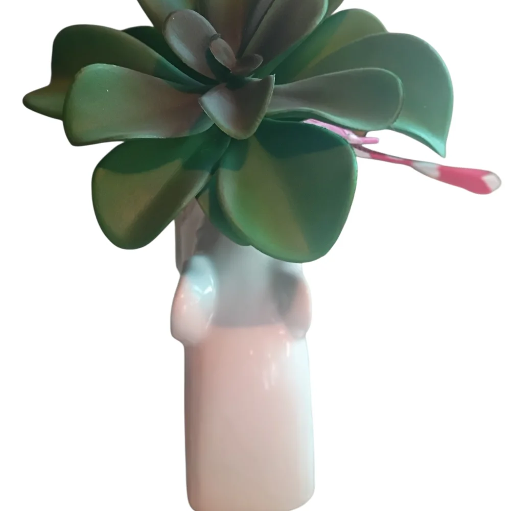 White Elephant Planter with Green Succulent